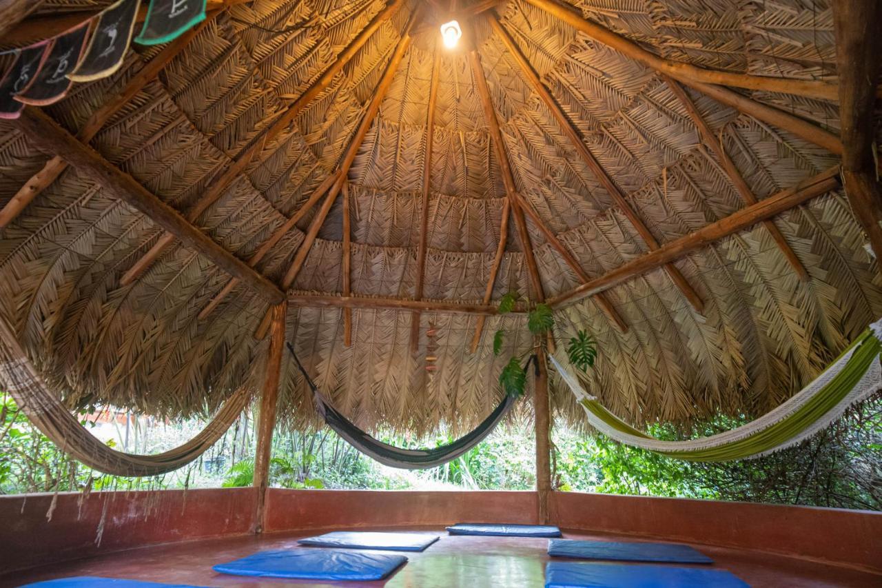 Buddy'S Hostel & Pousada Alto Paraiso Алту-Параїзу-ді-Гояс Екстер'єр фото