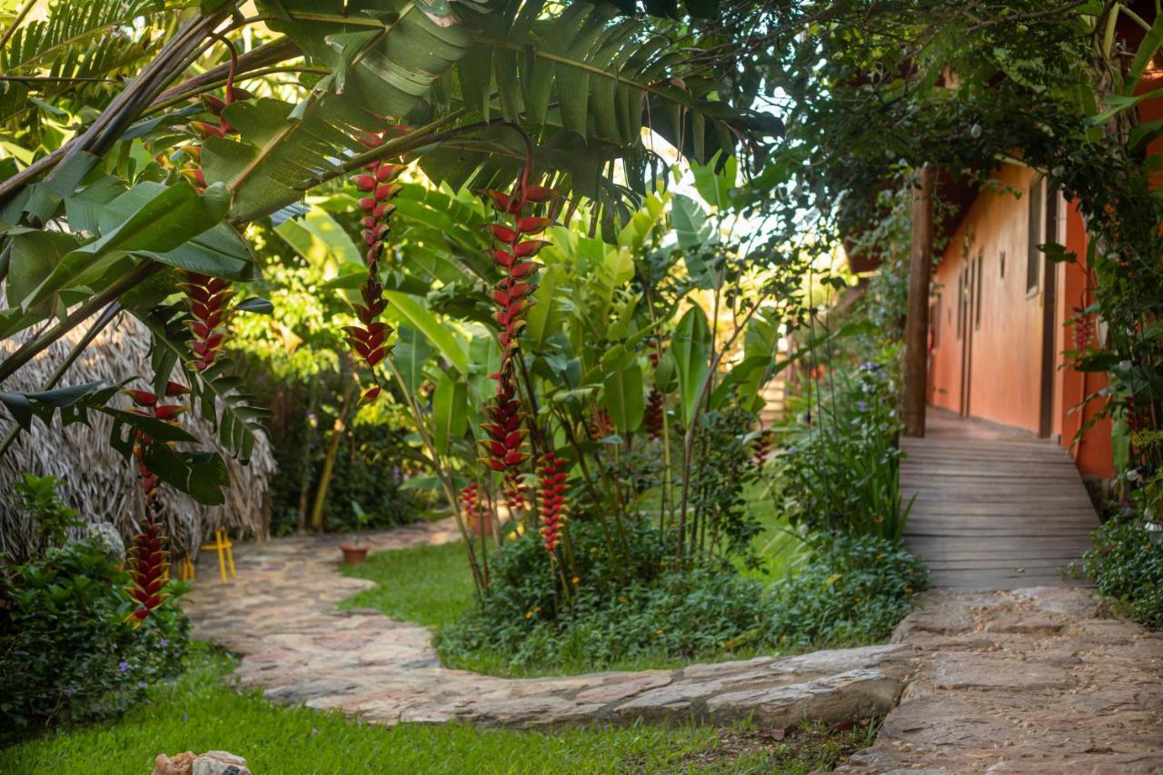Buddy'S Hostel & Pousada Alto Paraiso Алту-Параїзу-ді-Гояс Екстер'єр фото
